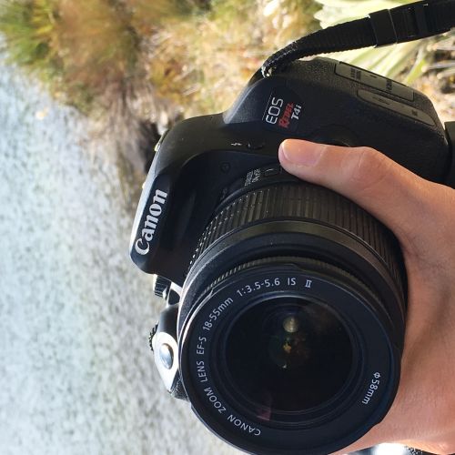 anak sanchez Sanchez 